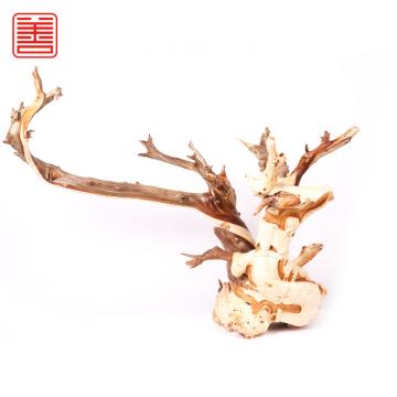 善也太行崖柏摆件年年有福（已结缘）