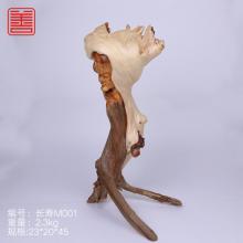 善也太行崖柏摆件长寿