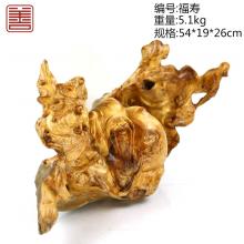 善也太行崖柏摆件福寿