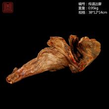 善也太行崖柏摆件传道达摩