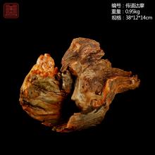 善也太行崖柏摆件传道达摩