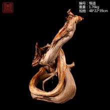 善也太行崖柏摆件悟道（已结缘）