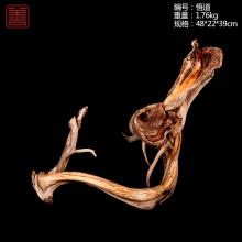 善也太行崖柏摆件悟道（已结缘）