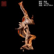 善也太行崖柏摆件悟道（已结缘）