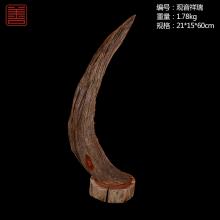 善也太行崖柏摆件观音祥瑞（已结缘）