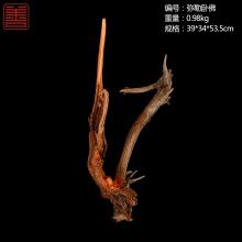 善也太行崖柏摆件弥勒卧佛（已结缘）