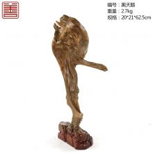 善也太行崖柏摆件黑天鹅