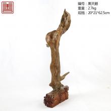善也太行崖柏摆件黑天鹅