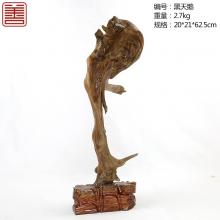 善也太行崖柏摆件黑天鹅