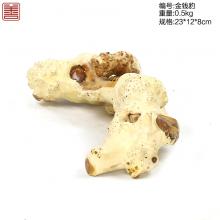 善也太行崖柏摆件金钱豹
