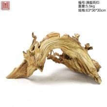 善也太行崖柏摆件满载而归（已结缘）