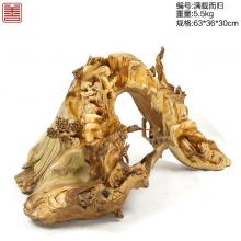 善也太行崖柏摆件满载而归（已结缘）