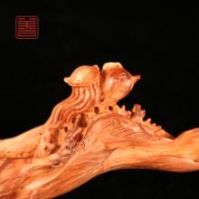 善也太行崖柏摆件热带雨