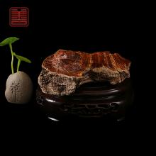 善也堂太行崖柏摆件玉蟾蜍
