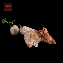 善也堂太行崖柏摆件鸟趣