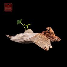 善也堂太行崖柏摆件鸟趣
