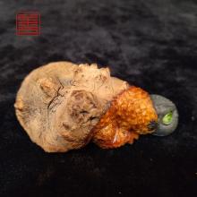 善也堂太行崖柏摆件《金蟾》