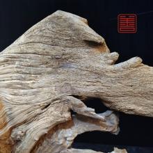 善也堂太行崖柏摆件《望子成龙》