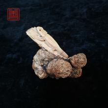 善也堂太行崖柏摆件《蜥蜴》