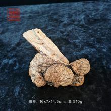 善也堂太行崖柏摆件《蜥蜴》