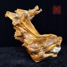 善也堂太行崖柏随形摆件《龙回首》