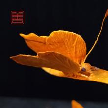 善也堂太行崖柏摆件《兰花》