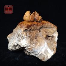 善也堂太行崖摆件《爱相随》